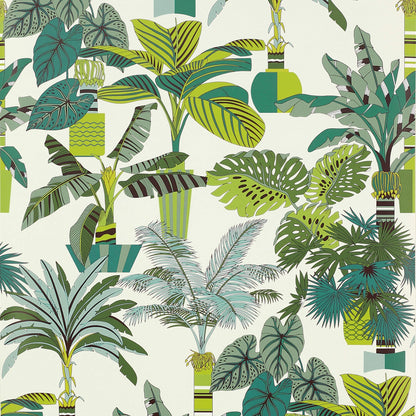 Florida Wallpaper - Green
