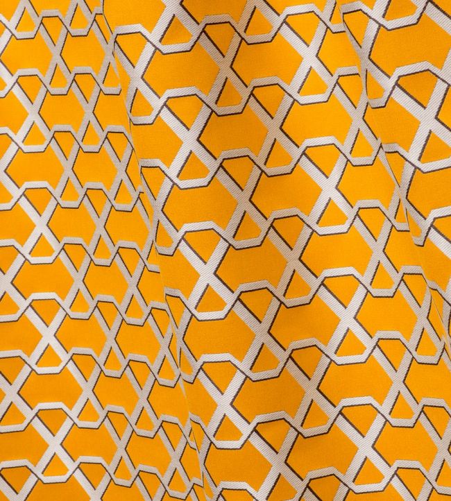 Ribon Room Fabric - Orange