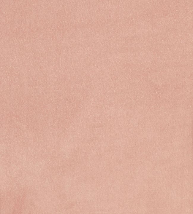 Cotton Velvet Plain Fabric - Pink 