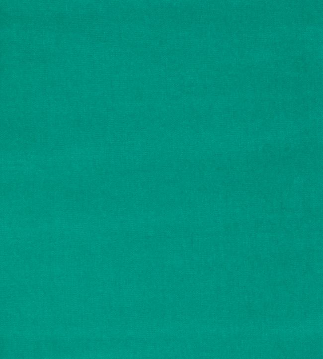 Cotton Velvet Plain Fabric - Green 
