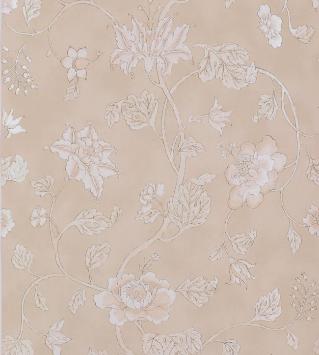 Lotus Trail Wallpaper - Pink