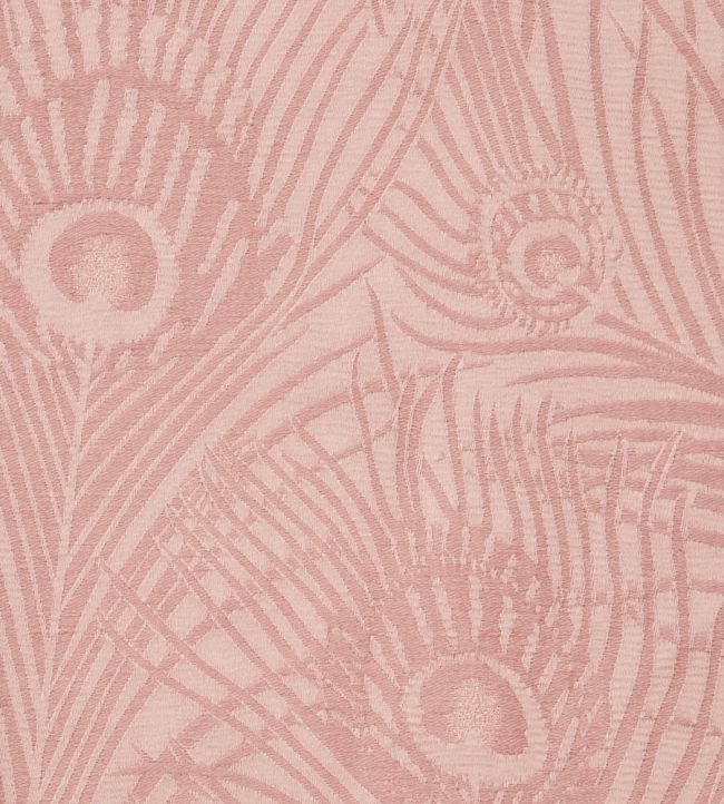 Hera Plume in Dyed Jacquard Fabric - Pink 