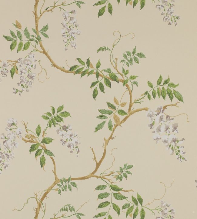 07963/02 - Alderney Wallpaper - Cream - Colefax & Fowler 