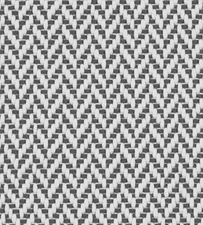 Marquee in Painswick Weave Fabric - Black