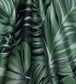 Chili Palm in Lovell Jacquard Room Fabric - Green