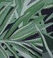 Chili Palm in Lovell Jacquard Room Fabric 2 - Green
