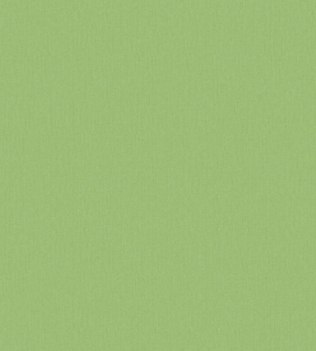 Plain Wallpaper - Green 
