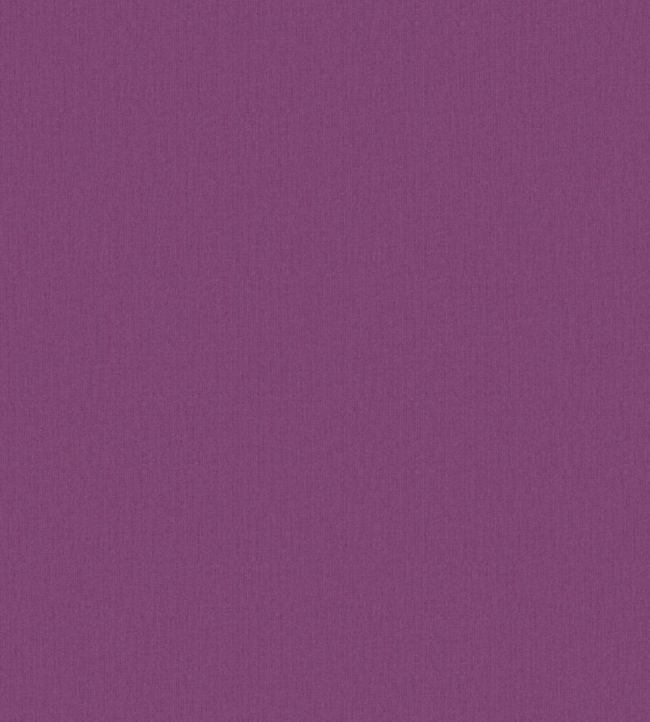 Plain Wallpaper - Purple 