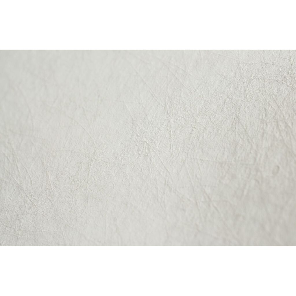 Tranquil Room Wallpaper - Cream