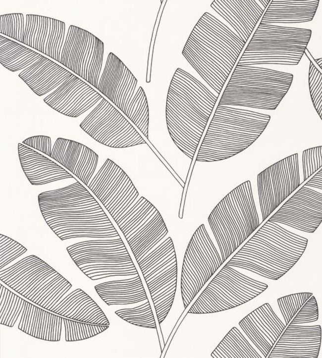 Banana Tree Wallpaper - Gray