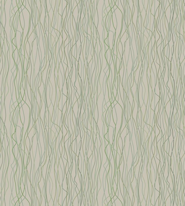 Poppies Stem Wallpaper - Gray 