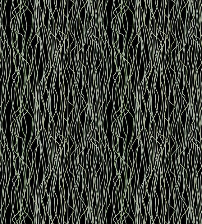 Poppies Stem Wallpaper - Black