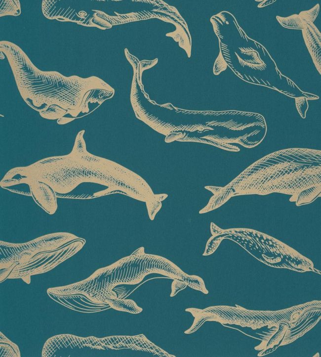 Whale Done Wallpaper - Teal