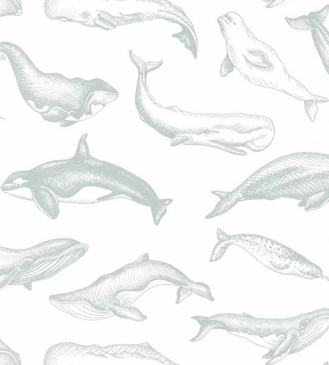 Whale Done Wallpaper - Gray 
