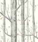 Woods & Stars Wallpaper - Gray - Cole & Son