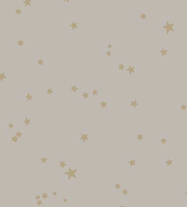 Stars Wallpaper - Gray  - Cole & Son