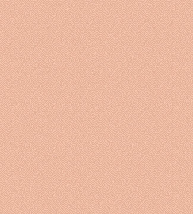 Coral Wallpaper - Pink - Cole & Son