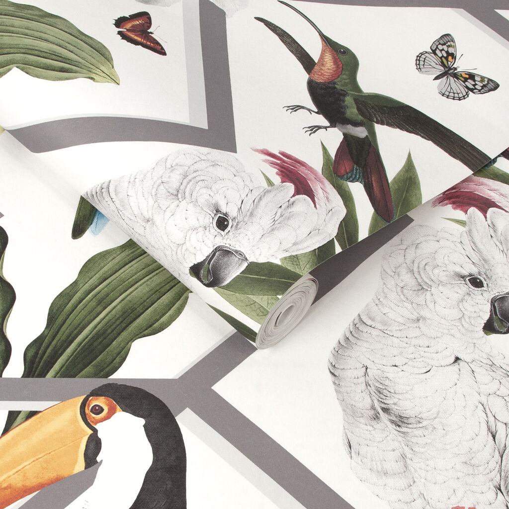 107603 - Perch Wallpaper - White - Graham & Brown