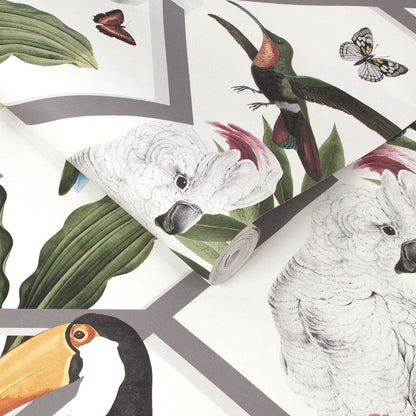 107603 - Perch Wallpaper - White - Graham & Brown