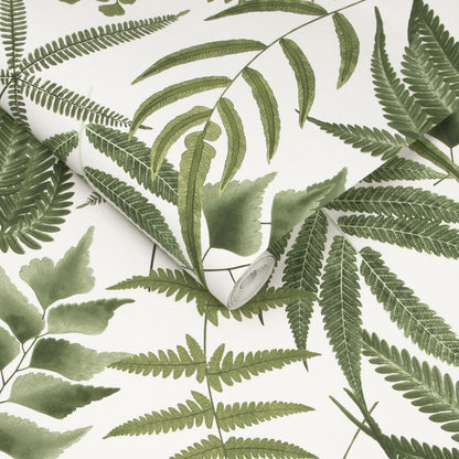 107880 - Midsummer Fern Wallpaper - Lush - Graham & Brown