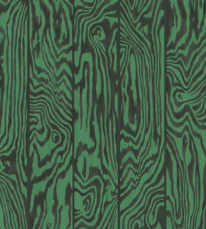 Zebrawood Wallpaper - Green - Cole & Son