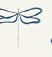 Dragonfly Wallpaper - Blue 