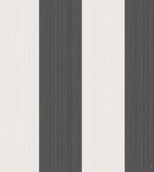 Jaspe Stripe Wallpaper - Black - Cole & Son