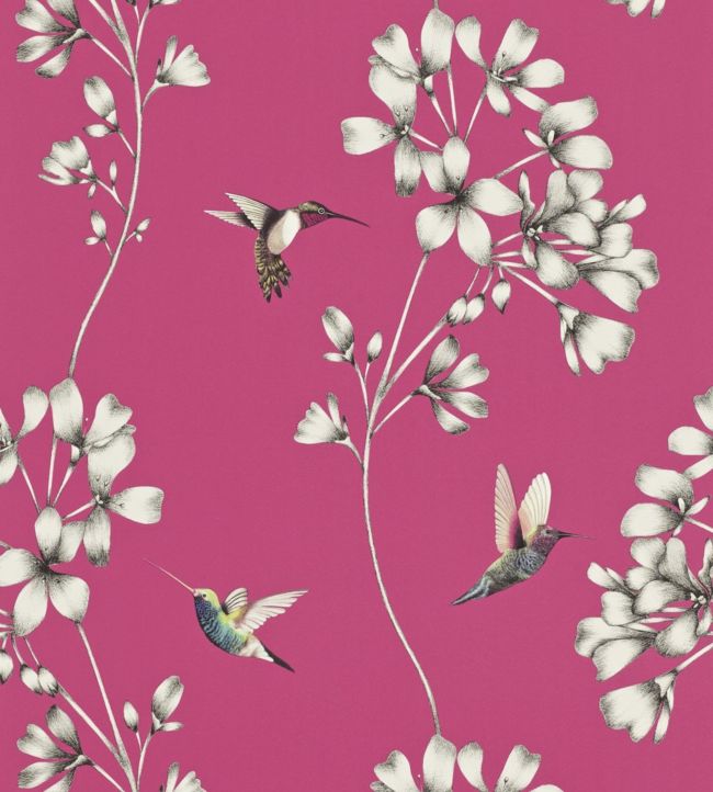 Amazilia Wallpaper - Pink