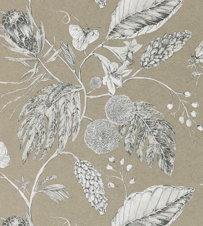 Amborella Wallpaper - Brown