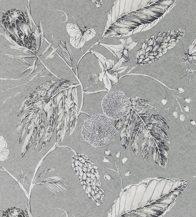 Amborella Wallpaper - Gray