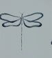 Dragonfly Wallpaper - Gray 