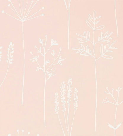 Stipa Wallpaper  - Pink