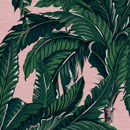 Daintree Palm Blush Wallpaper - Green