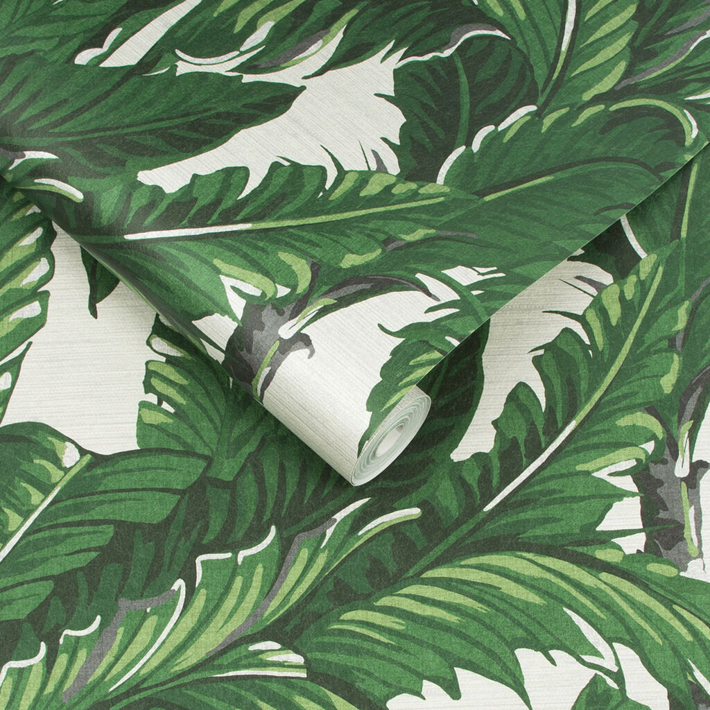 Daintree Palm Room Wallpaper - Green
