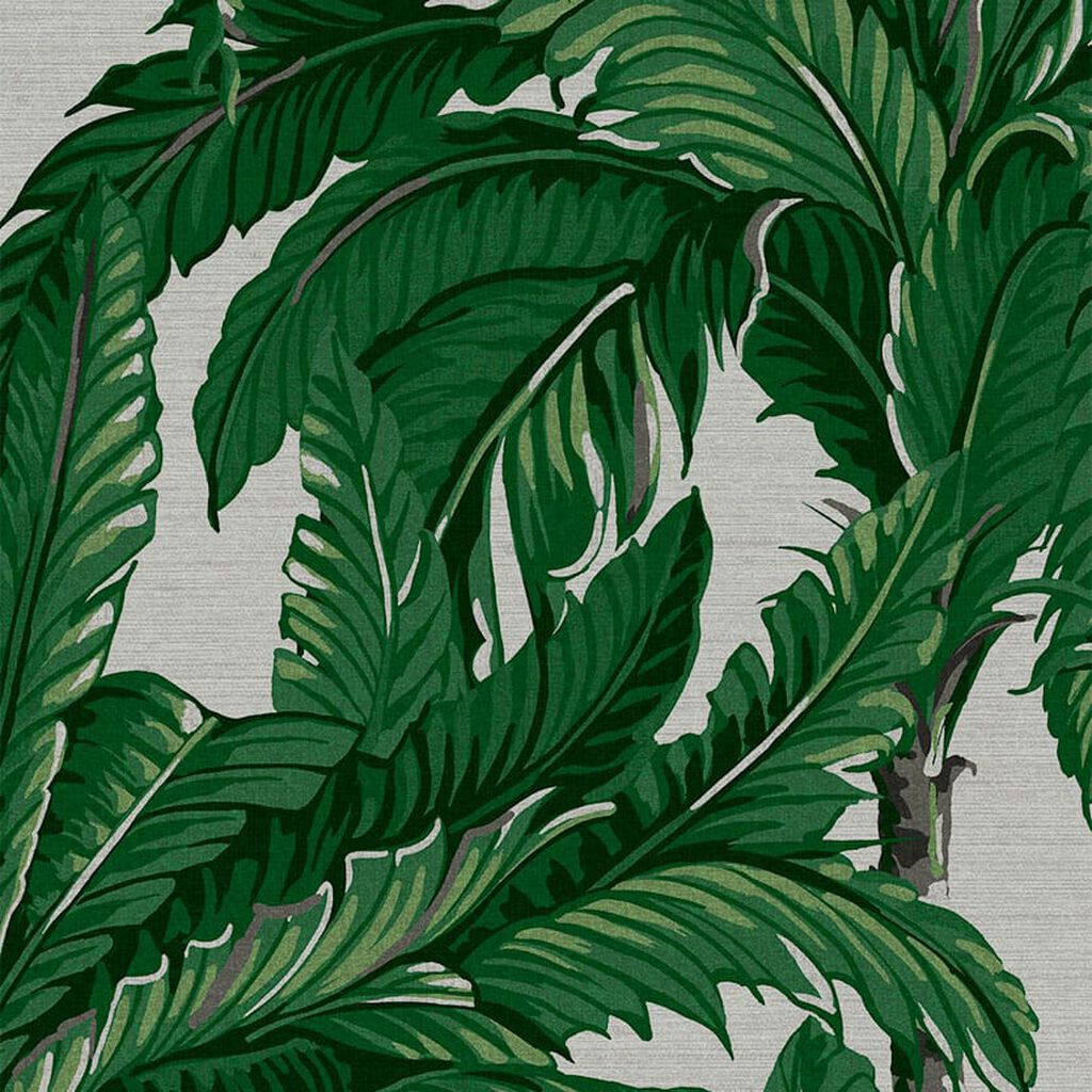 Daintree Palm Wallpaper - Green