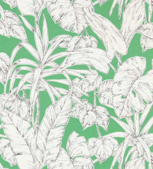 Parlour Palm Wallpaper - Green 