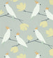 Love Birds Wallpaper - Silver