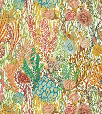 Acropora Wallpaper - Multicolor