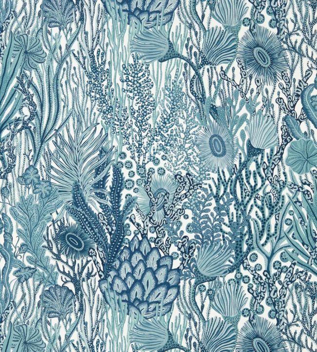 Acropora Wallpaper - Blue