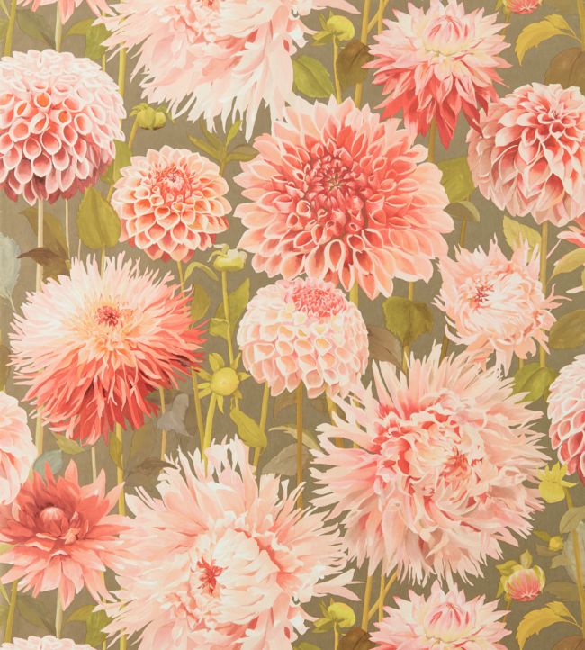 Dahlia Wallpaper - Pink