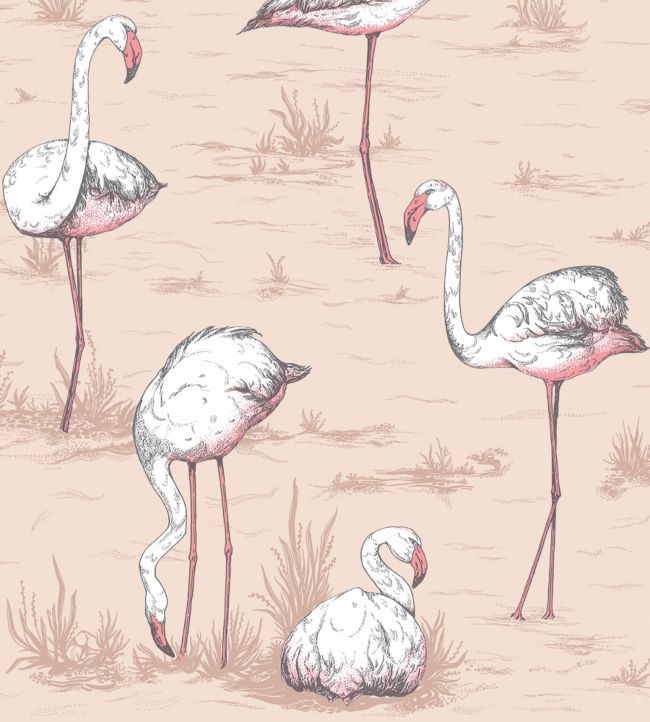 Flamingos Wallpaper - Pink - Cole & Son
