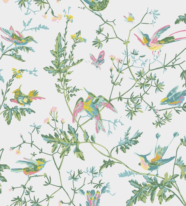 Hummingbirds Wallpaper - Green - Cole & Son