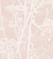Cow Parsley Wallpaper - Pink  - Cole & Son