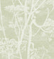 Cow Parsley Wallpaper - Green  - Cole & Son