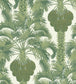Hollywood Palm Wallpaper - Green - Cole & Son