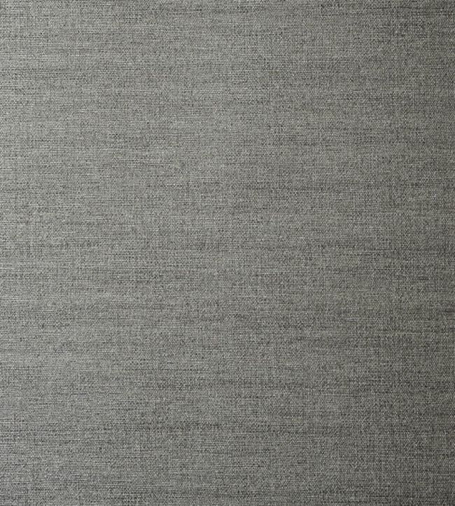 Venus Wallpaper - Gray
