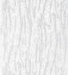 Bark Wallpaper - White