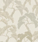 Carmona Wallpaper - Cream