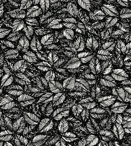 Amorina Wallpaper - Black