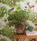 Kejsarkrona Room Wallpaper 3 - Green